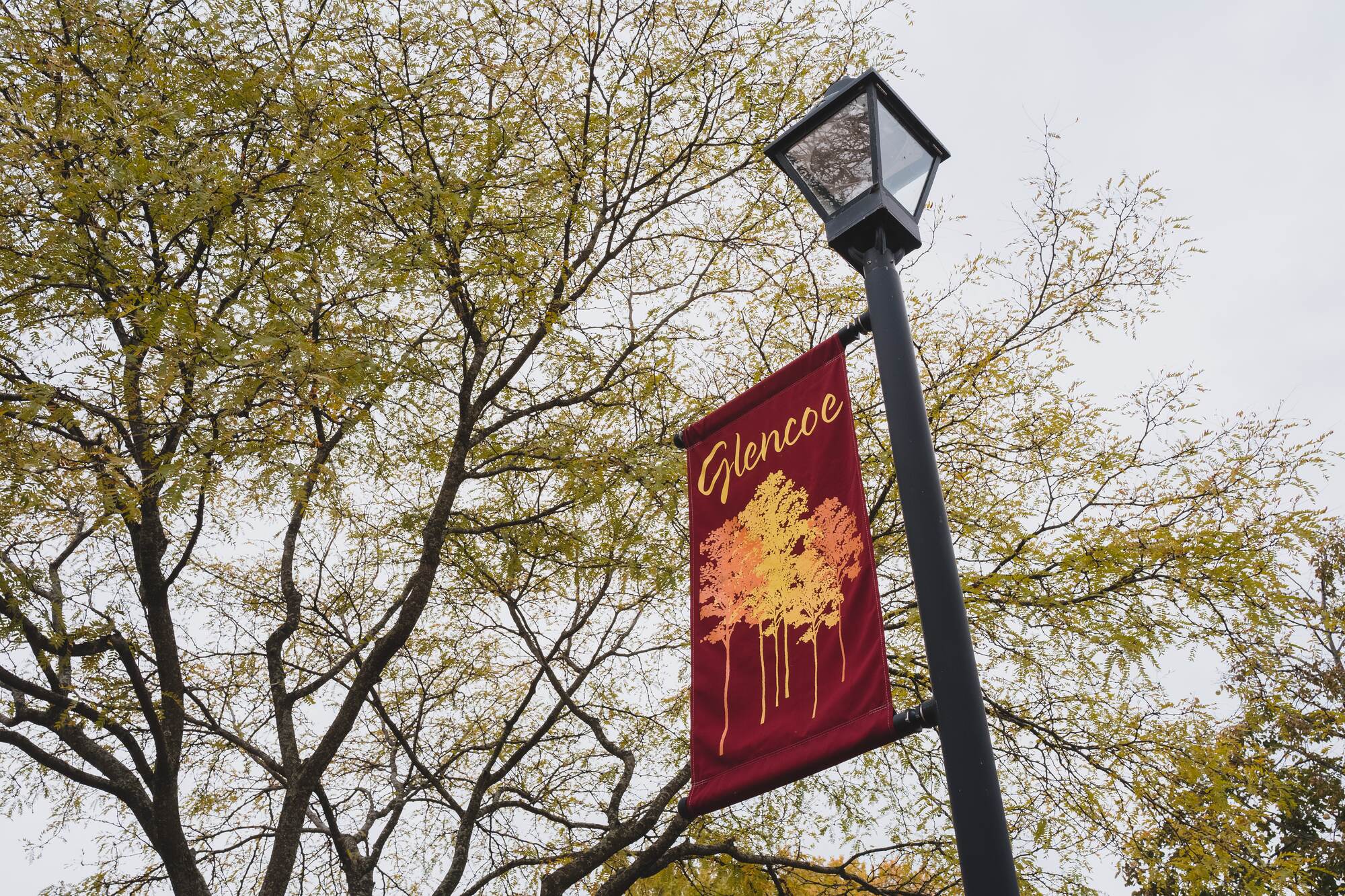 Elevate: My Word for the Year Ahead