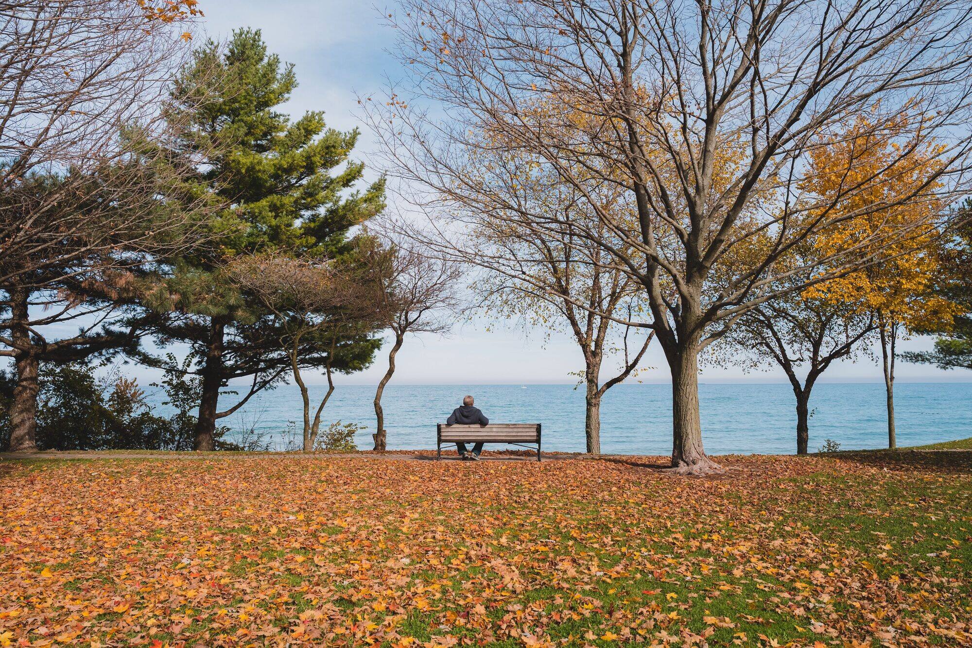 When Family and Business Align